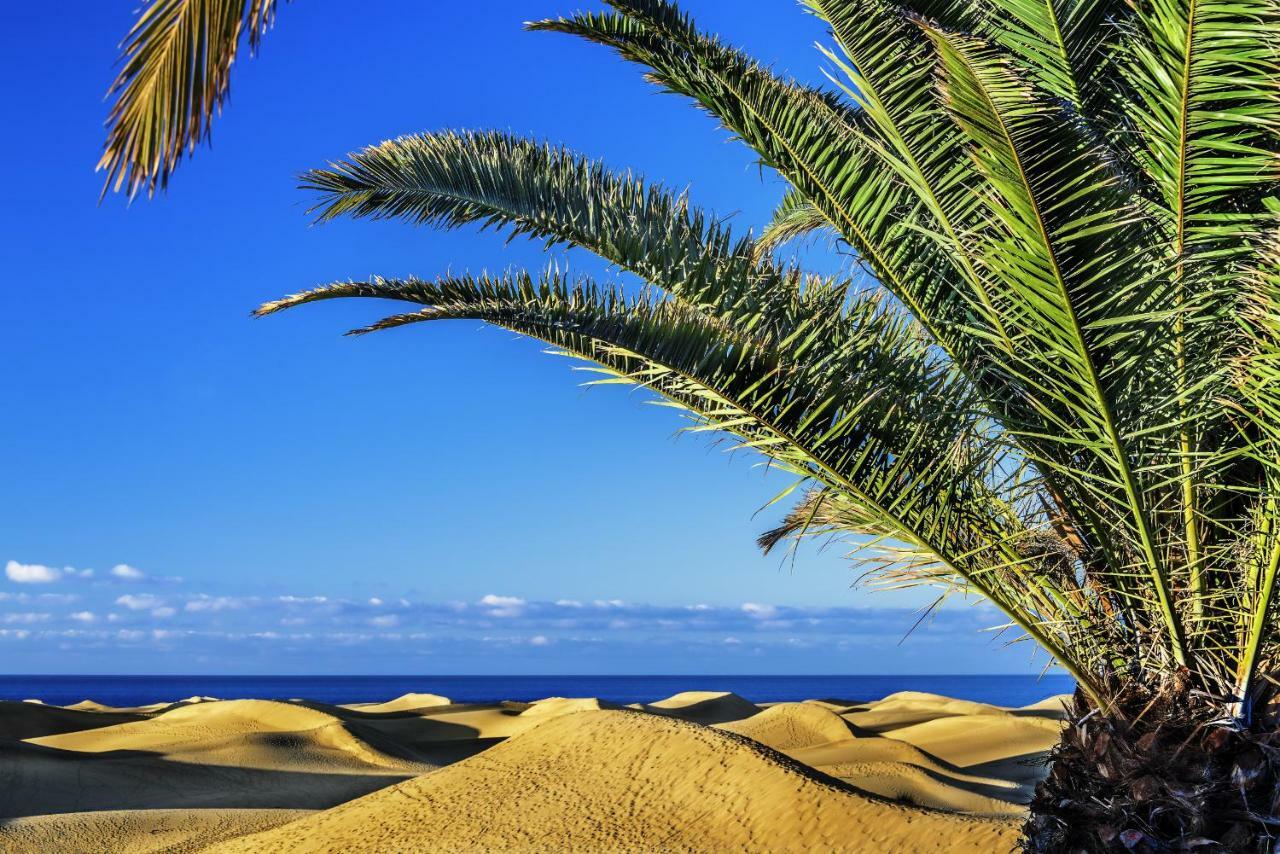 Las Adelfas South Beach 1 By Canariasgetaway 산아구스틴 외부 사진